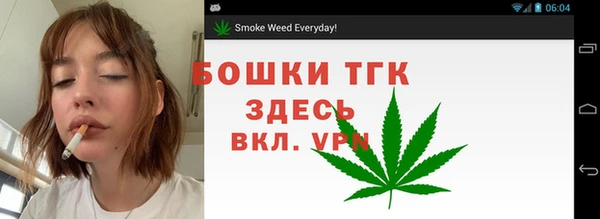 Альфа ПВП Гусь-Хрустальный